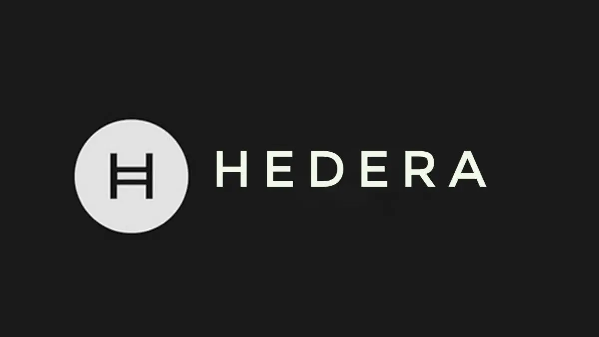 hedera crypto logo rare evo 2025